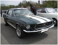 b+w striped Mustang